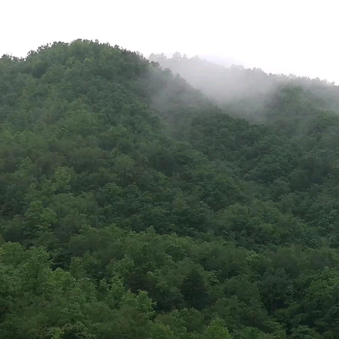 炭头121
