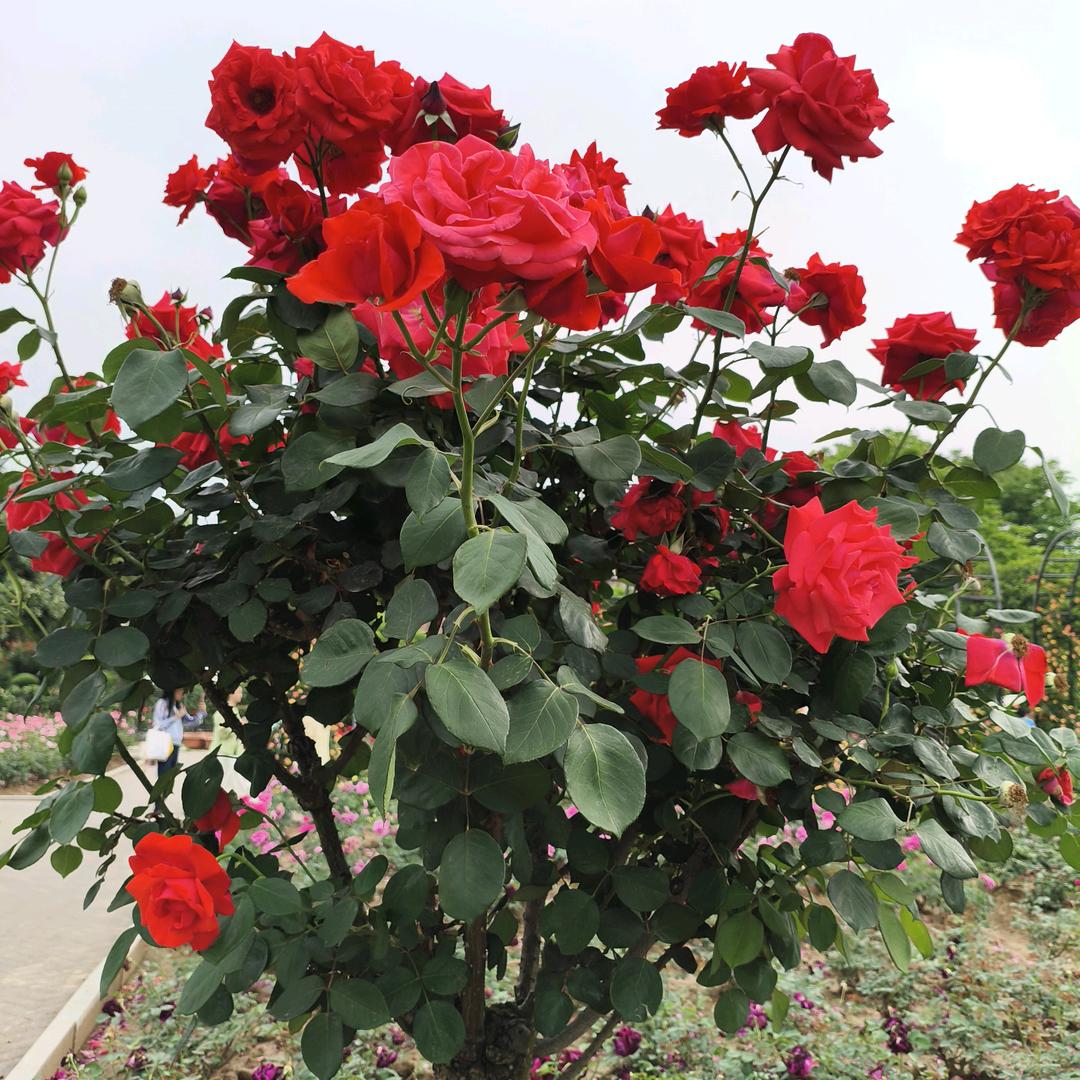 秀！拒绝私聊！