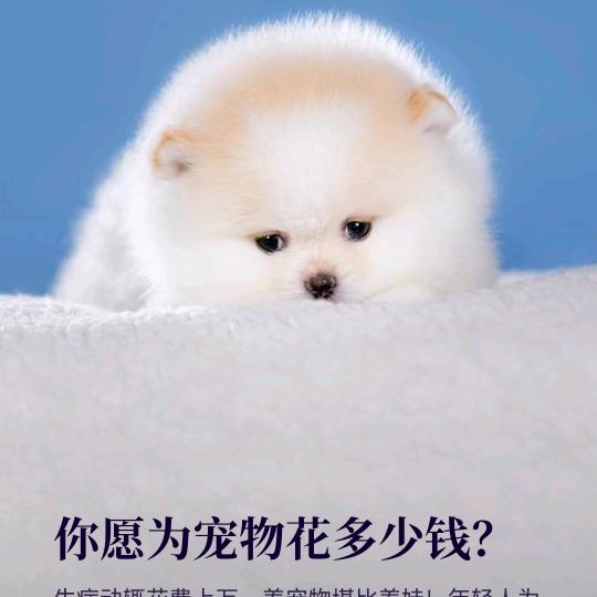 知行合一