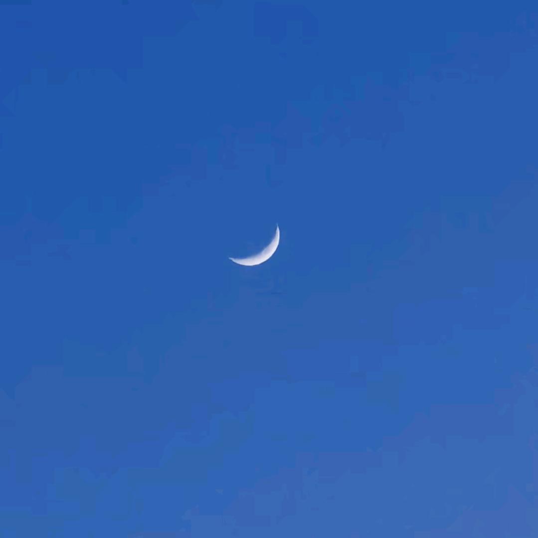 程  小  强