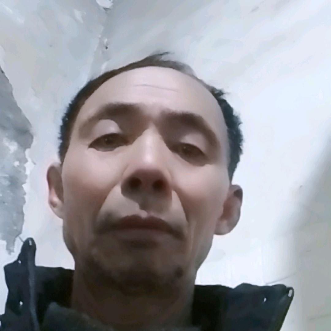 春鸟有缘丁付取