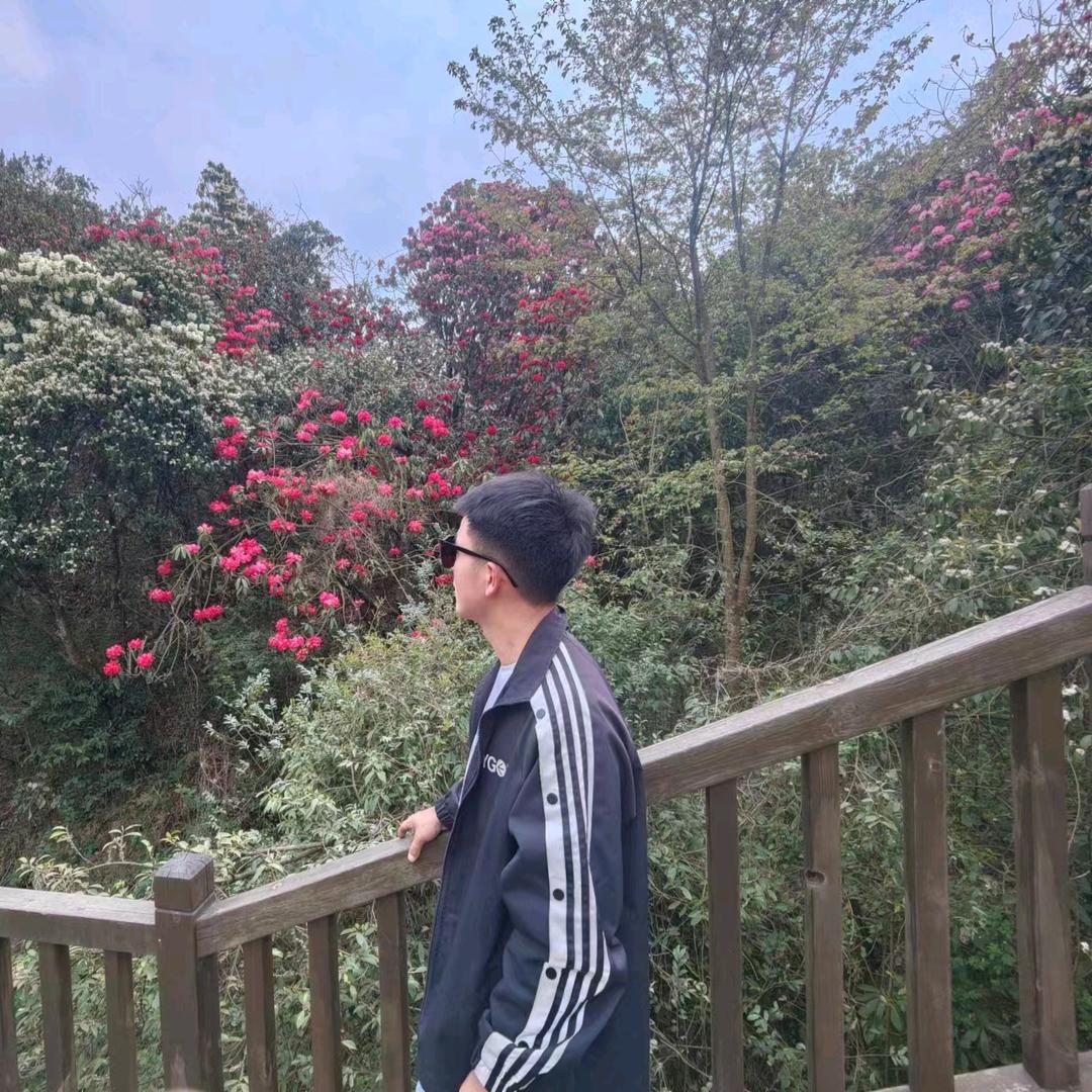 高端系统门窗
