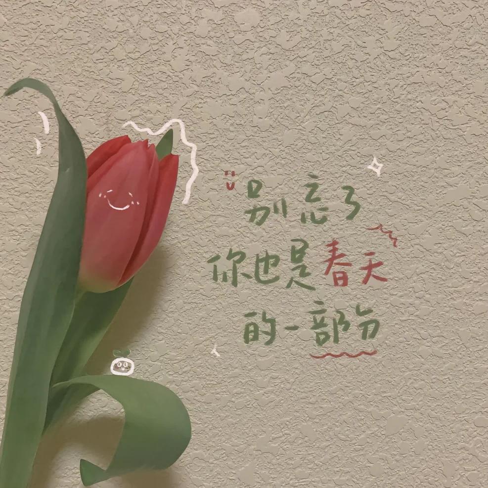 小洪书୧〃•̀ꇴ•〃૭