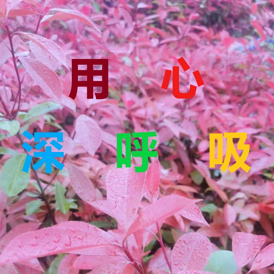 用心深呼吸/心神呼吸法