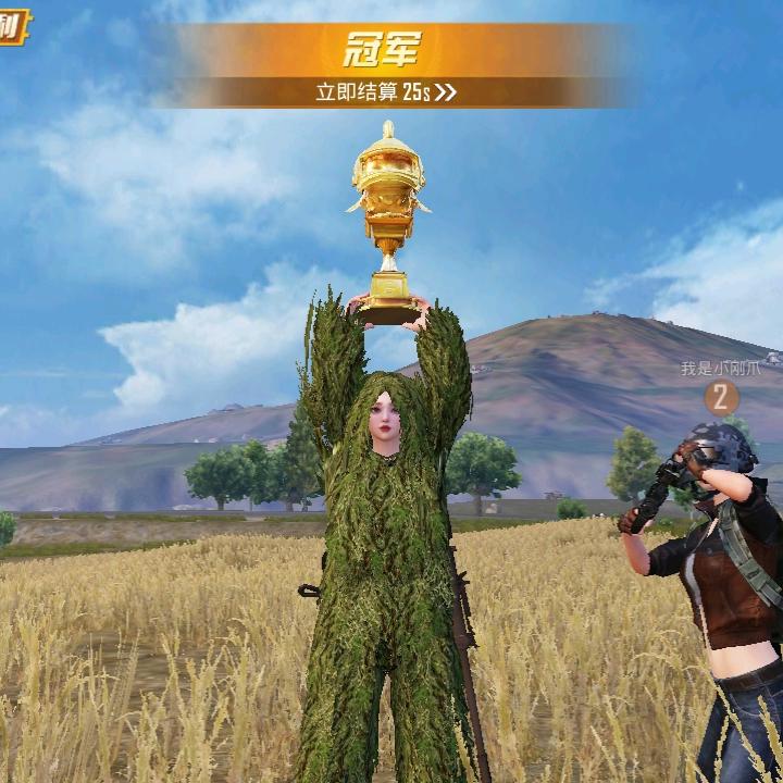 往事随风，未来可期