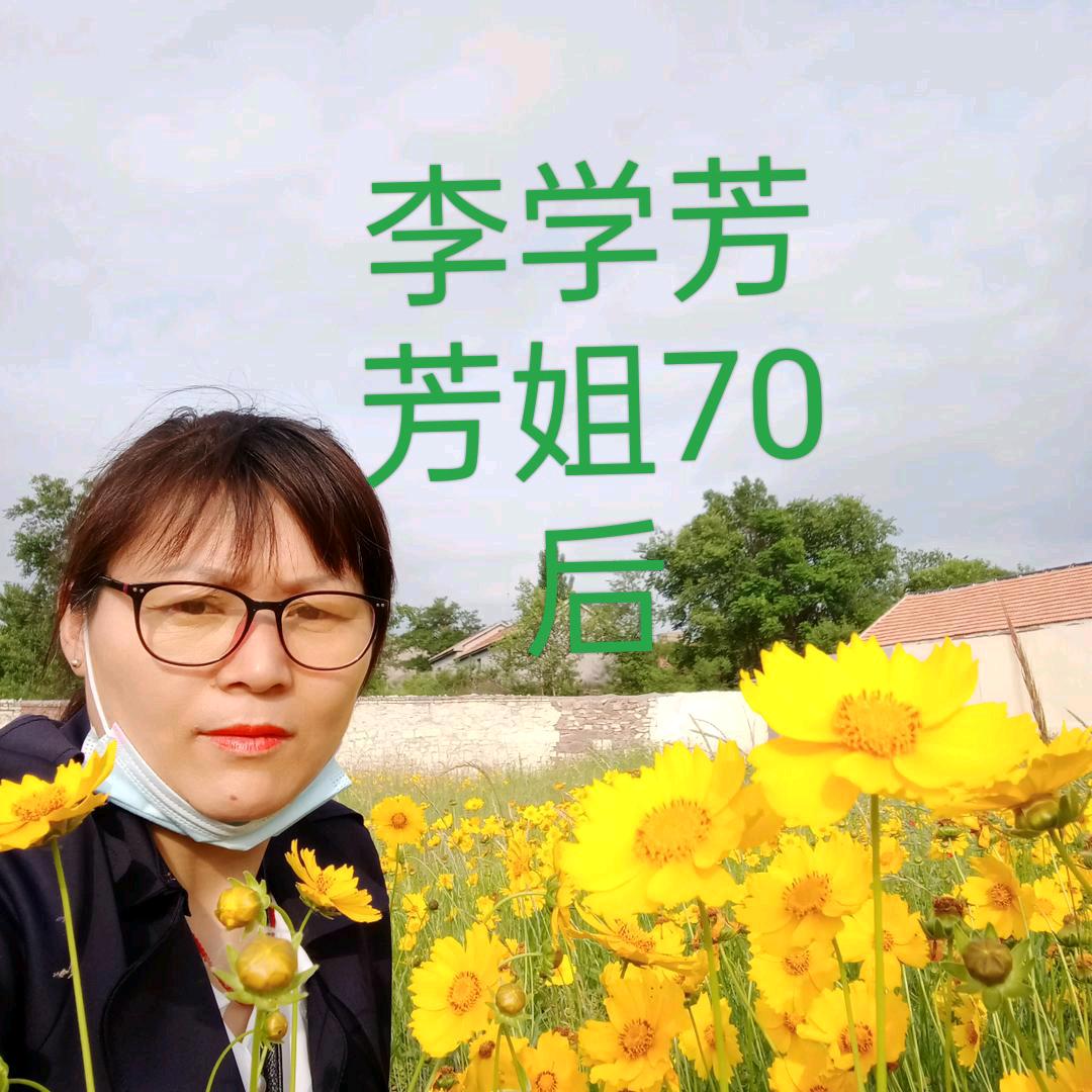 雨点芳