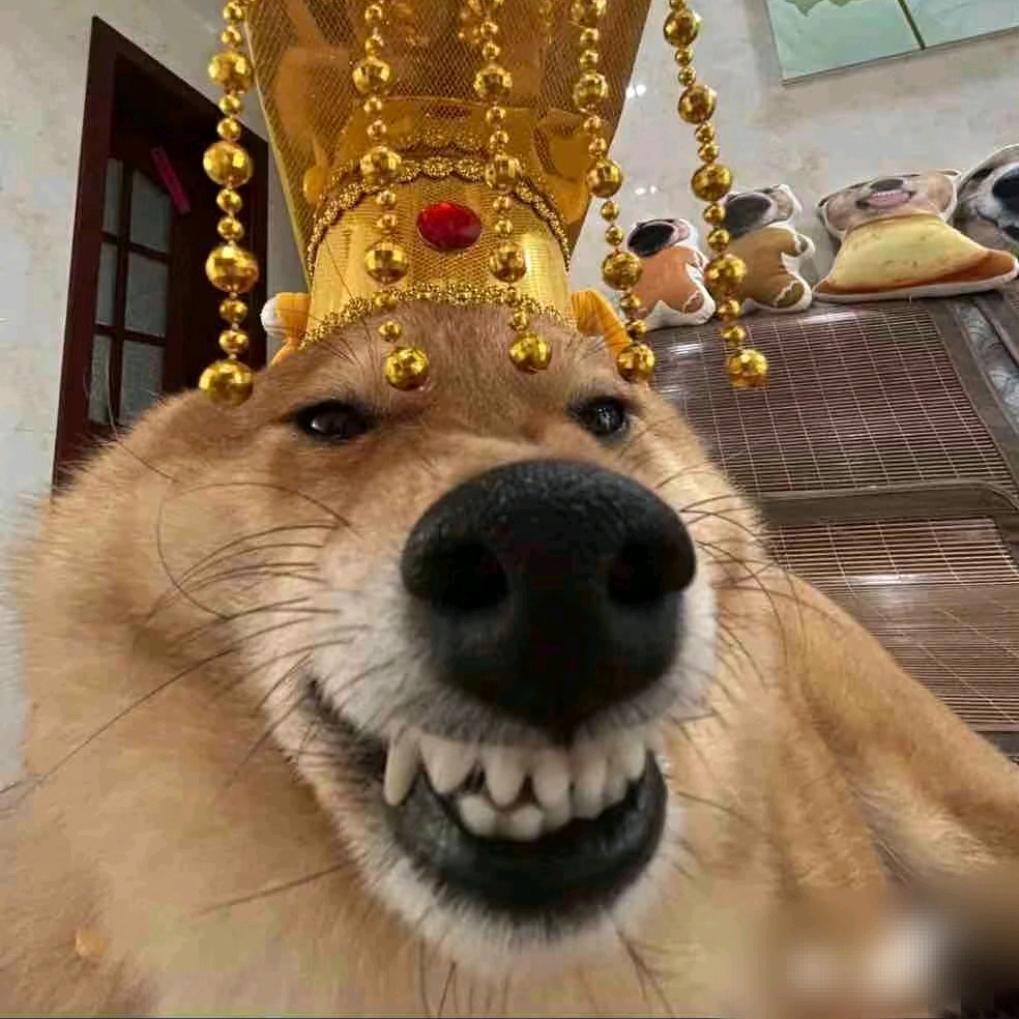 小熊浩浩霖YHX🐻