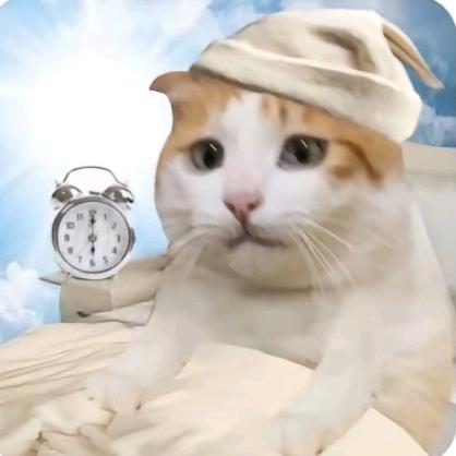 狡猾的西瓜皮