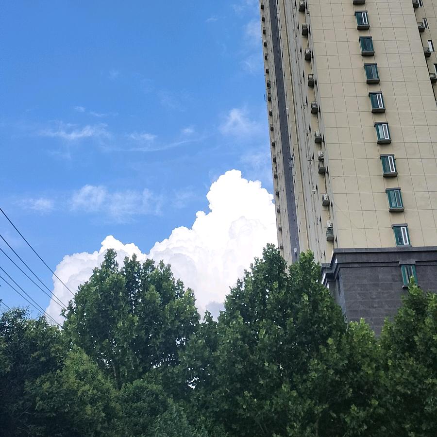 用户31725274头像
