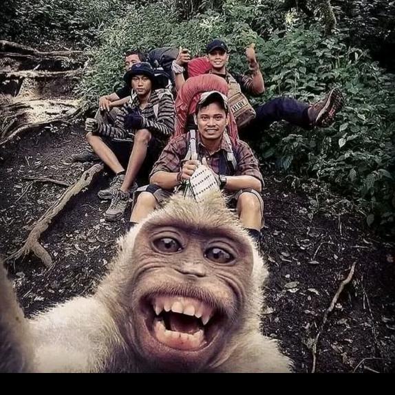 🍁迷人%的坏蛋