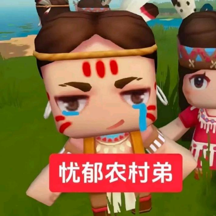 锦鲤。