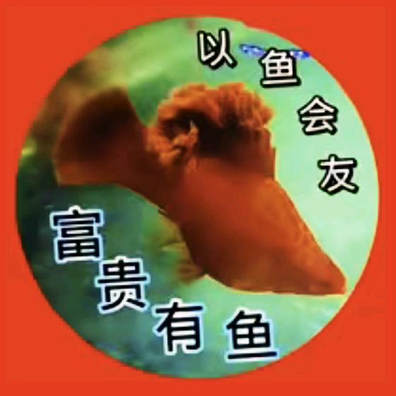 富贵有鱼一一