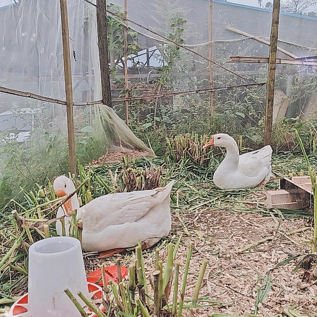 琪言、宣宝和宝爸的日常