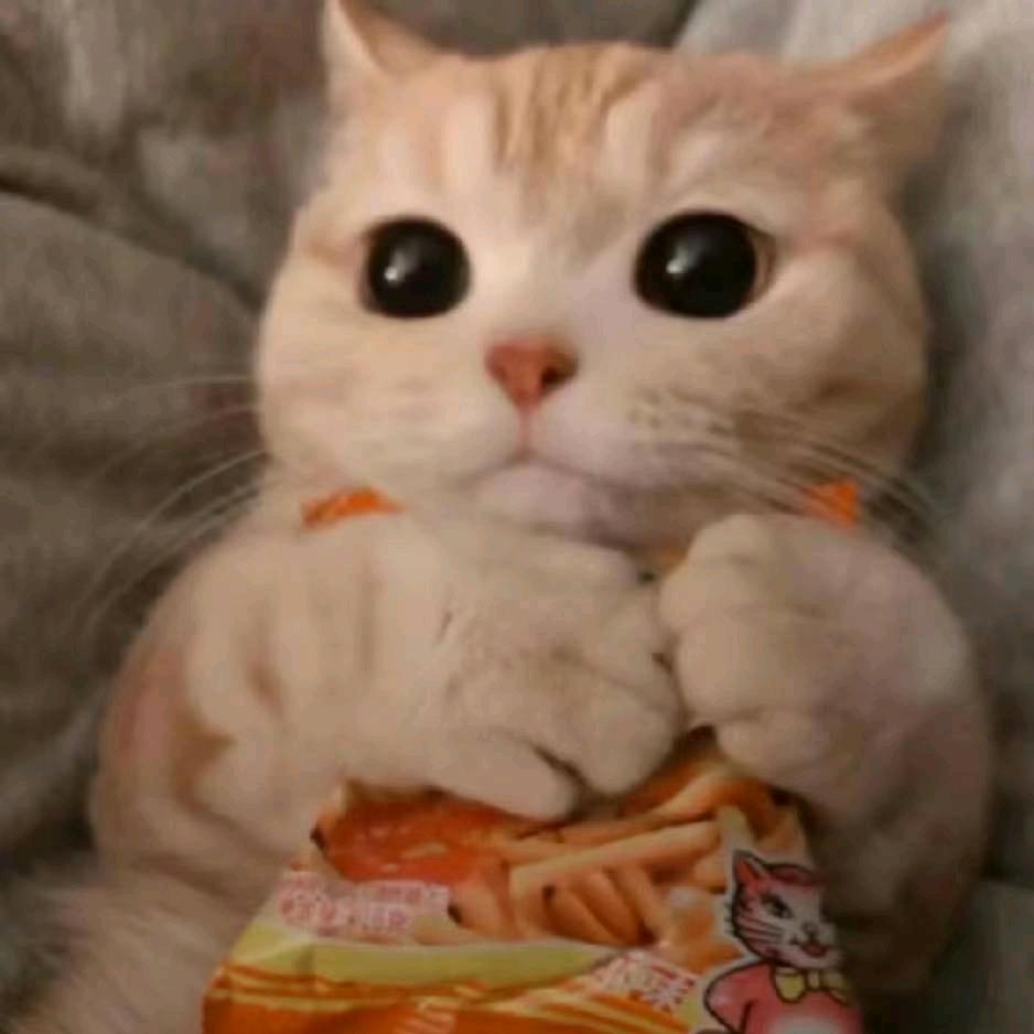 寒夜补星绵(๑><๑）