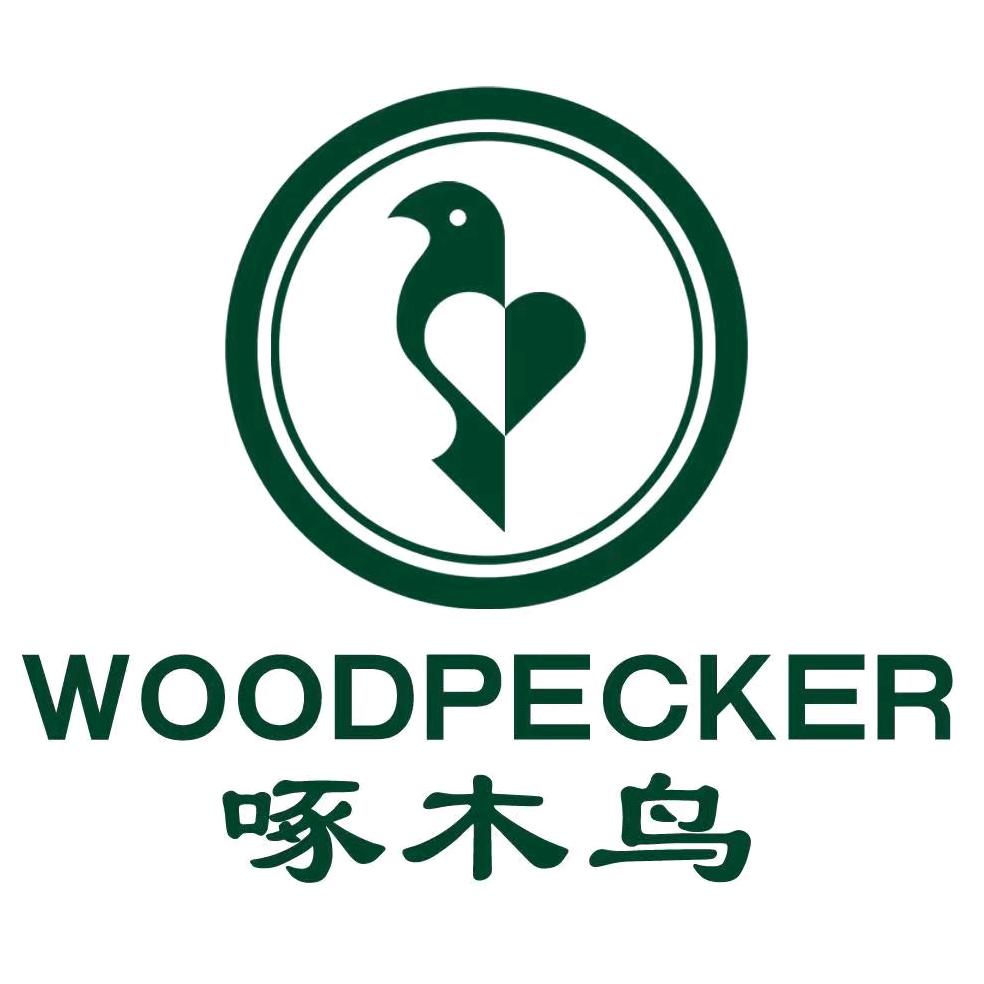 啄木鸟今泰男鞋专卖店