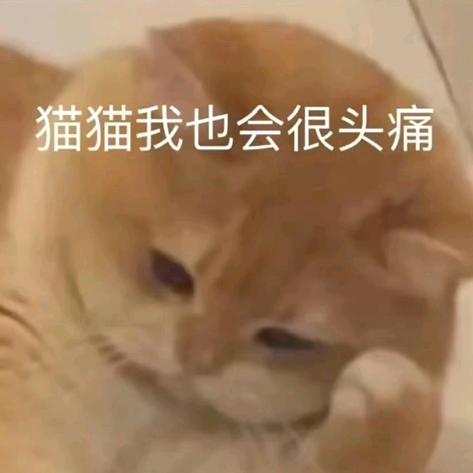 七饭要紧