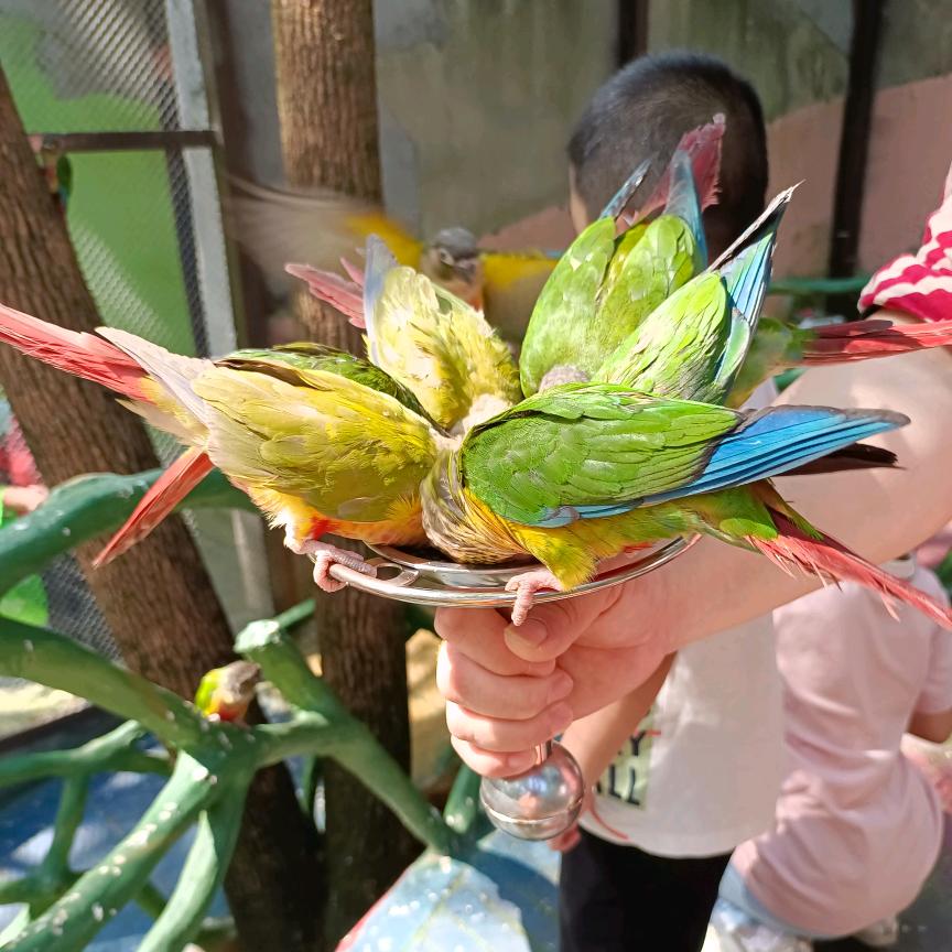小如姐