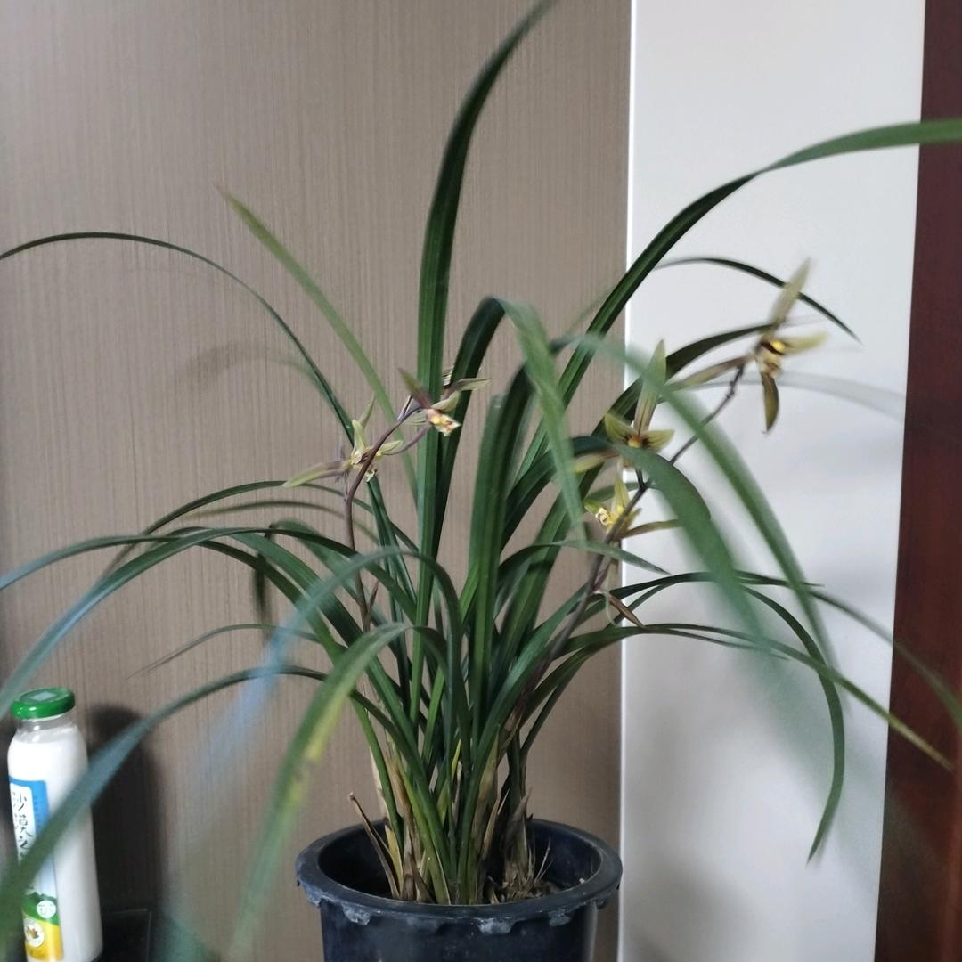 凡任——爆炸风洞
