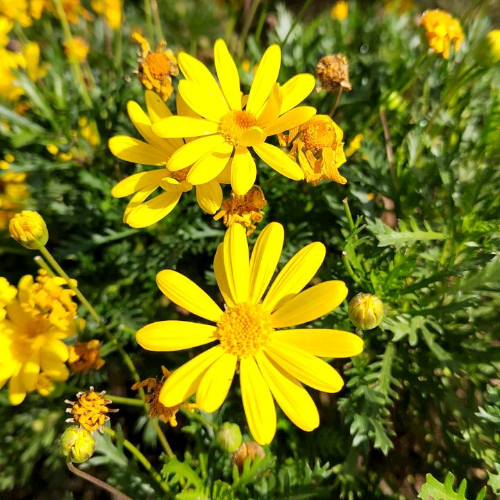 加油！两百万🥰🥰