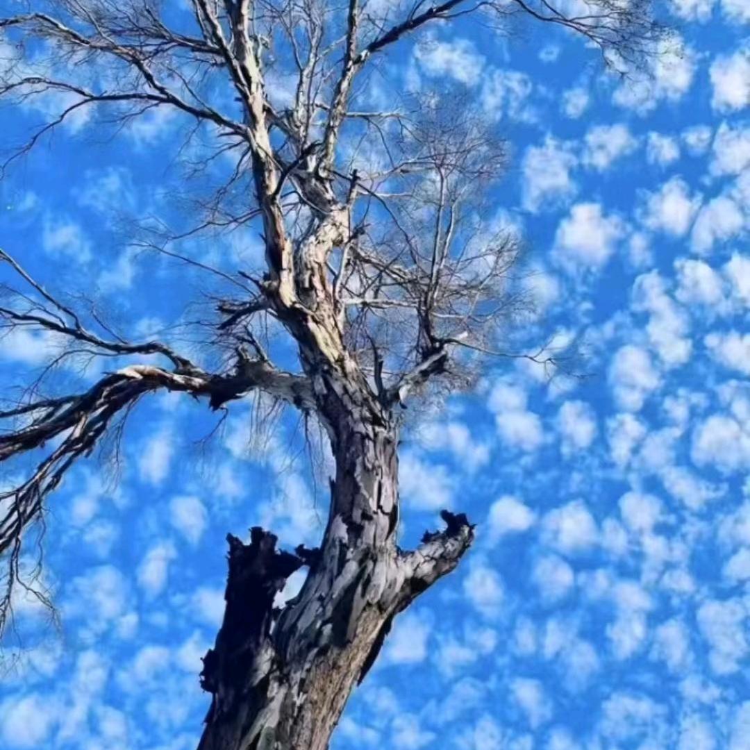 平安健康就是福
