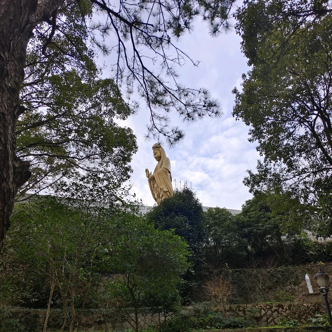 老徐