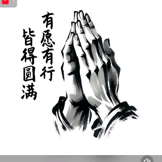 ♞飛💫