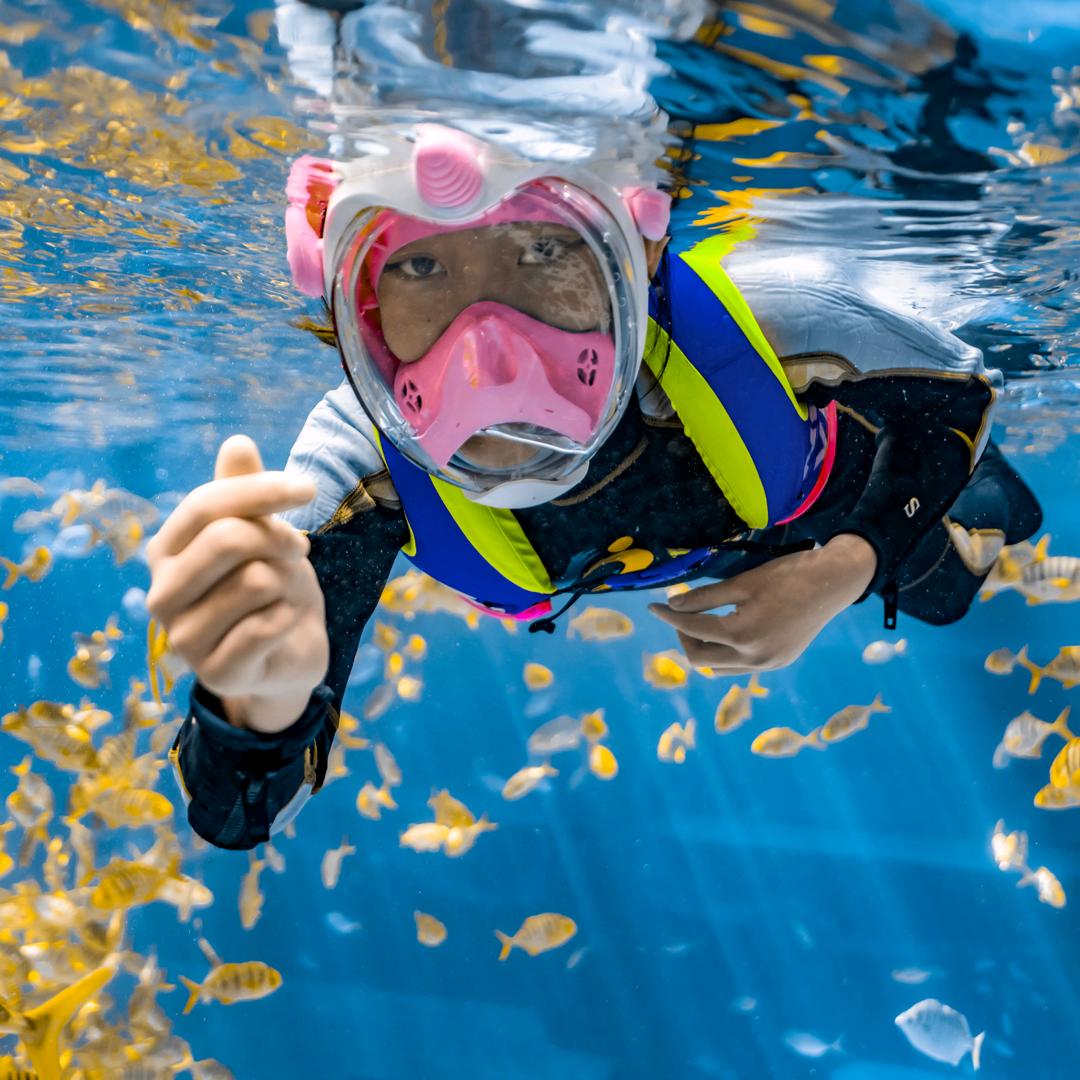 三亚豪生小梦教练团队