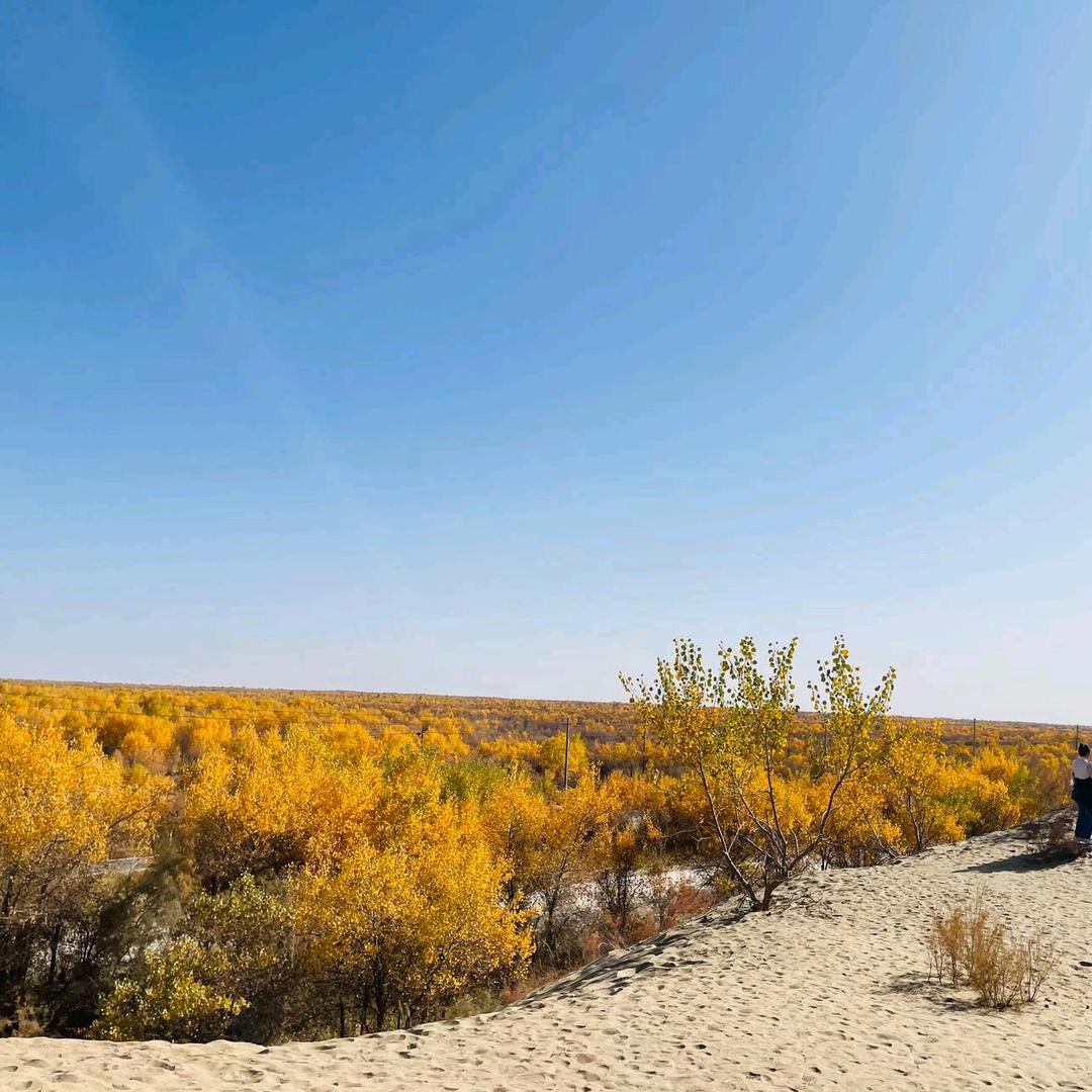 潮流服装店~妮萨