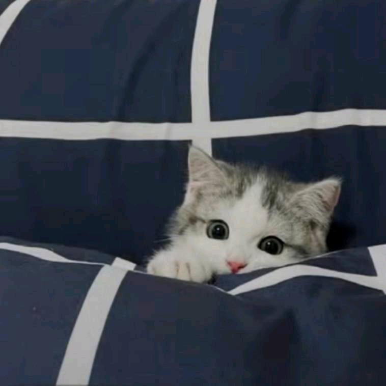 余生劫