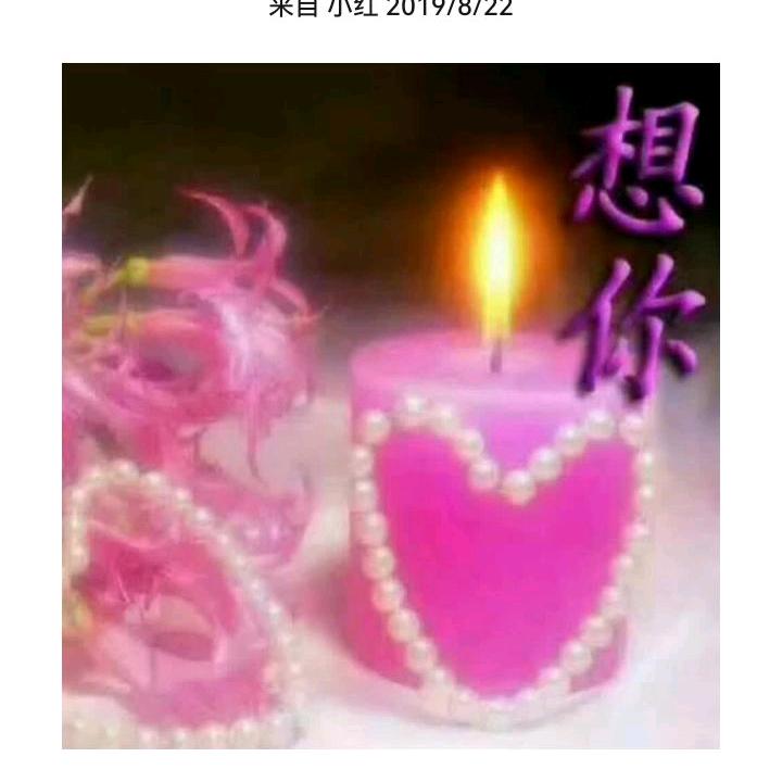 🌹小美（鱼多多）🌹