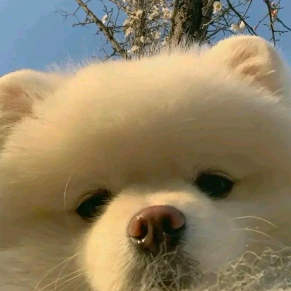 _-