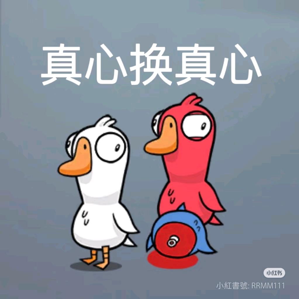 AAA鸭头批发网红鹅姐