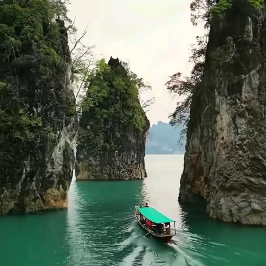 人生得意，须尽欢。