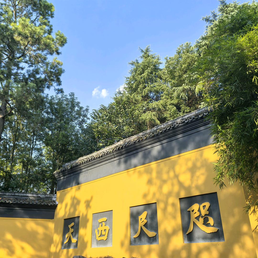 求傻乐药