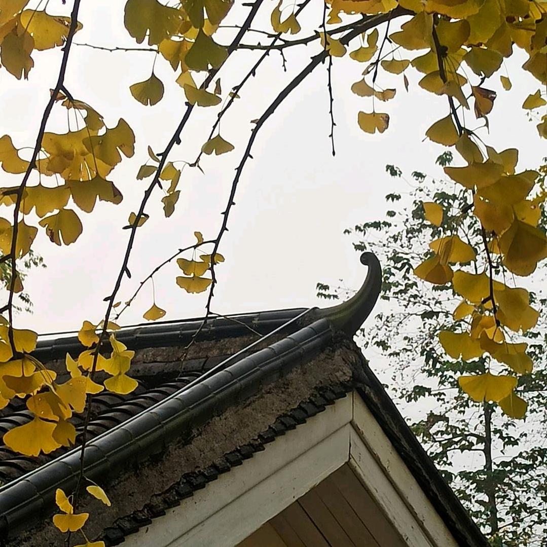 秋峰