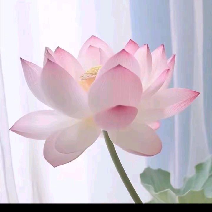 ❤️生卍法