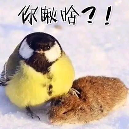 凯丰韩全