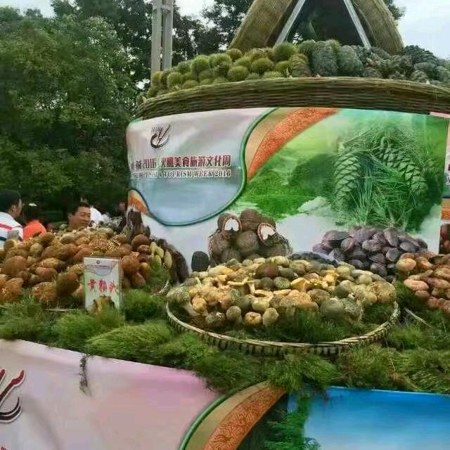 贵宝福禄寿喜