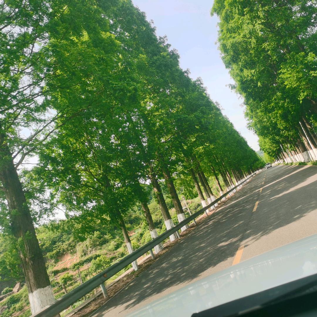 小黄家的浙飘生活