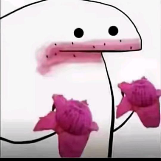 任性的曲奇饼