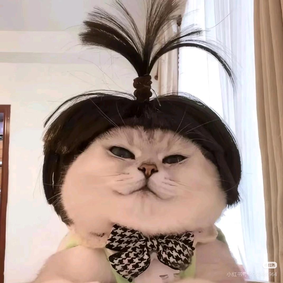 阿巴阿巴壮壮妈