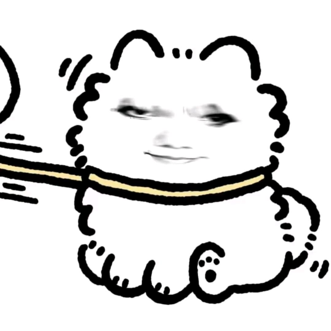 小琪是老大