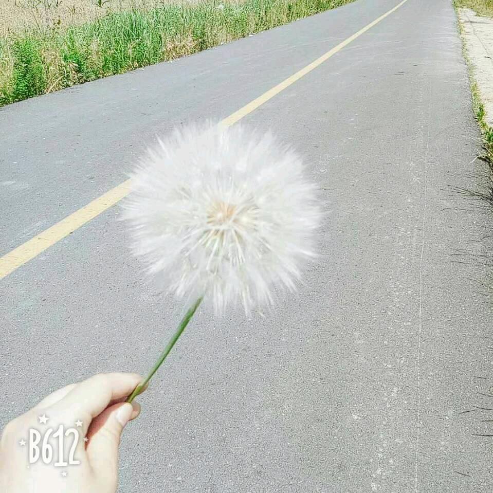 小猴子