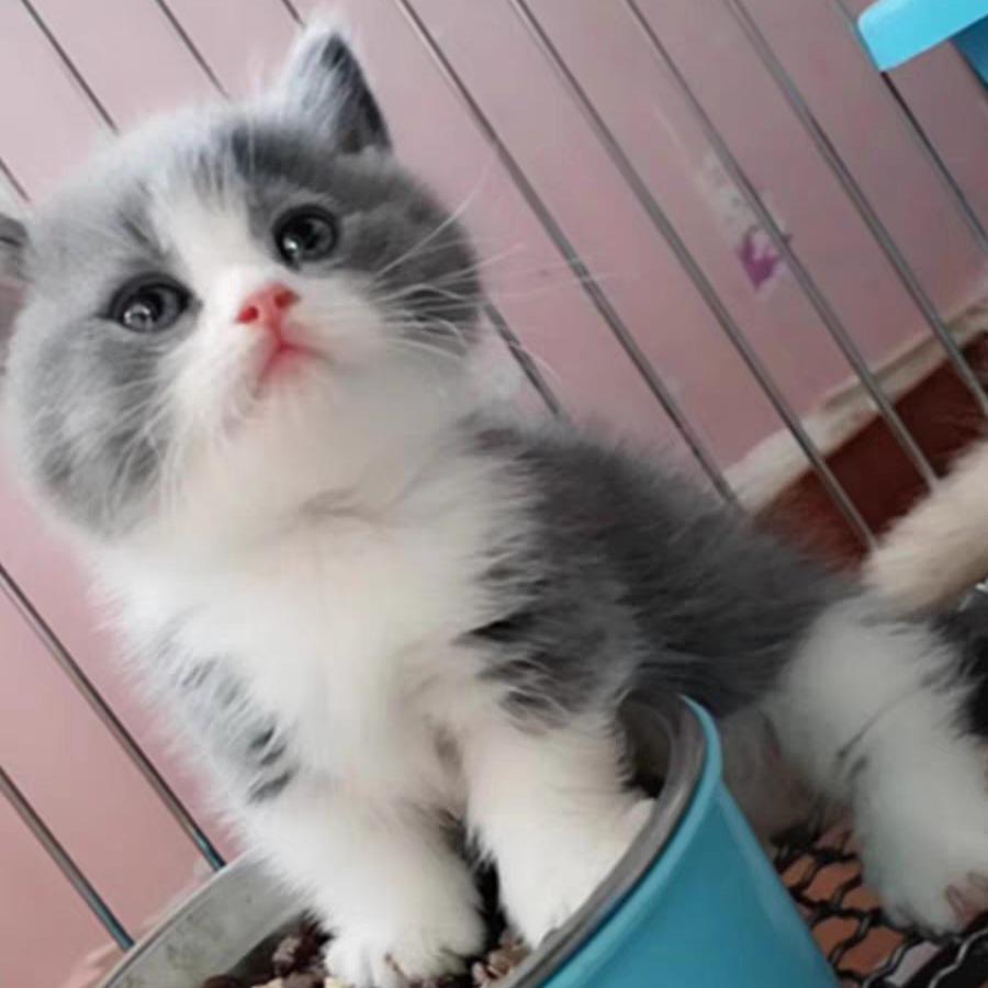 安。全。卫。士。