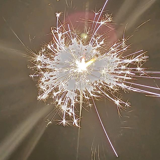 奥利斯维新多纳🐴