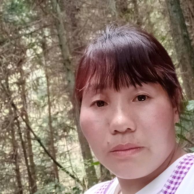 杜珍飞