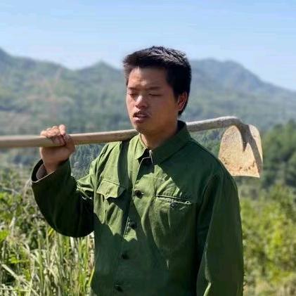 憨憨的大灯