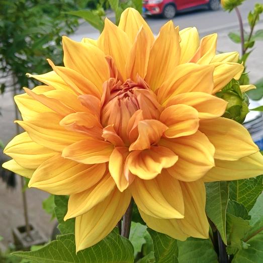 你9毛，我9毛，我们一块888发发发