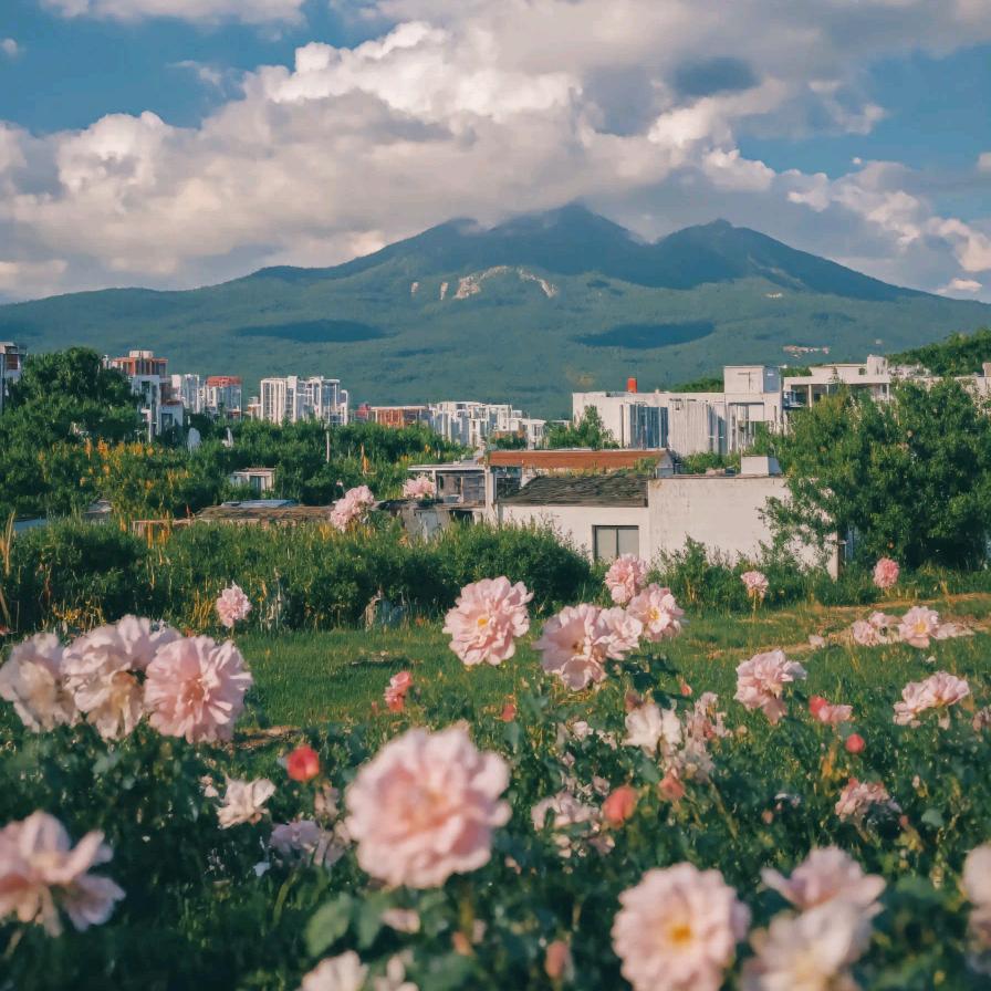 优选团购