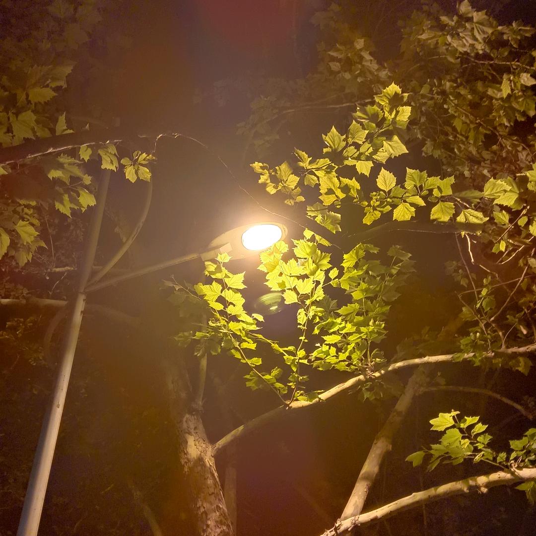 纳兰容若🌸🌸🌸（拒绝连赞）